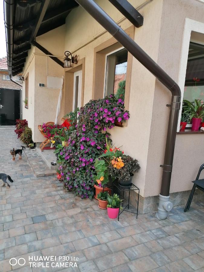 Rasnov Retreat Hotel Exterior photo