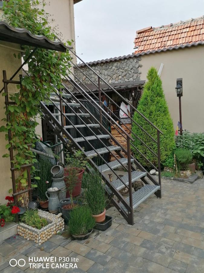 Rasnov Retreat Hotel Exterior photo